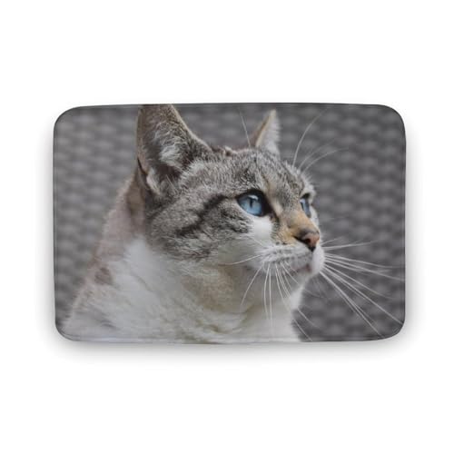 L   oX}bg \tg􂦂 z  փ}bg  O   \ ~ Aj LN^[ @}bg   ʏ