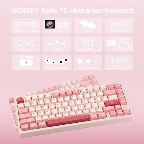 Image of KEEBMONKEY WOBKEY Rainy 75 CNC Aluminum HMX /JWK /Cocoa Switches Triple-Mode Connectivity Mechanical Keyboard with Superior Acoustics, RGB /PP /Mirrored Glass /3500mAh /Violet Switch (Standard - Pink)