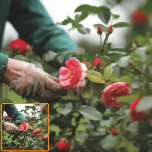 Diamond Painting Personnalisé 60x60cm avec photo kit complet de broderie diamant 5D full drill