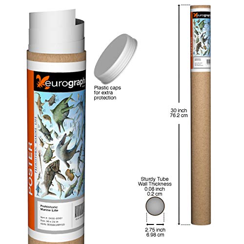 Eurographics Prehistoric Marine Life Poster, 36 X 24 Inch #TOP1