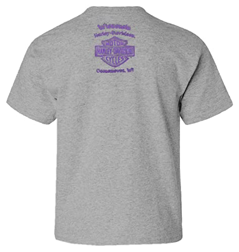 Harley-Davidson Girl's Starry Retro Toddler Short Sleeve Tee, Heather Gray2