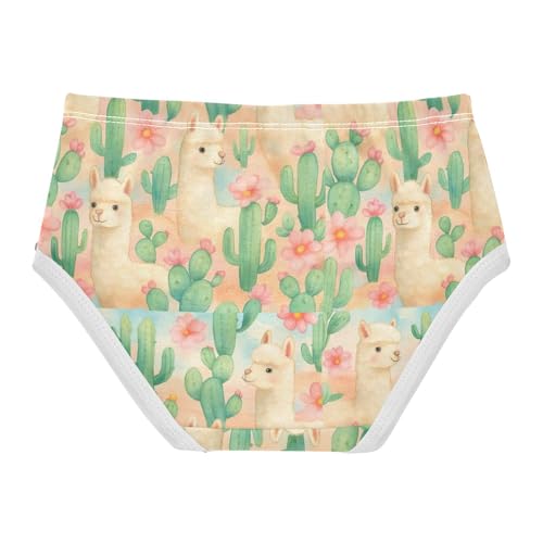 Joisal Cute Llamas Cactus Flowers Pastel Toddler Underwear Floral 2t Cotton Cute Panties Girl Fancy Briefs Undies Kids2