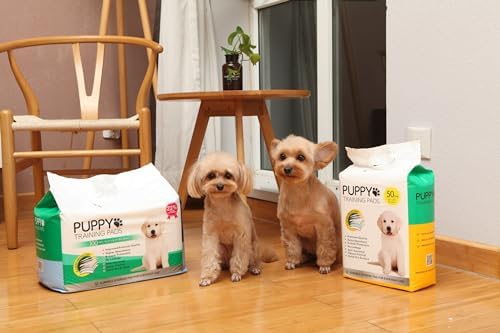 Puppy Pads 100 Pack 60 x 40 cm Improved Dog Training Disposable Puppies Mats Super Absorbent Wee Odour Locking Leakproof Toilet Pet Carrier Dog Crate Liners