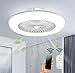 Produktbild RDYL LED Deckenventilator mit Beleuchtung 36W Deckenleuchte Dimmbare mit Fernbedienung 3-Gang Einstellbare Windgeschwindigkeit Modern Schlafzimmer 58CM Unsichtbare Leise Ventilator Kinderzimmer,Clear