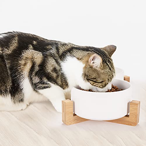Dog Bowl, Raised Dog Food and Water Bowl, Ceramic Dog Bowl Set with Non-Slip Wood Stand for Medium Sized Dog and Cat, 28… - Image 6