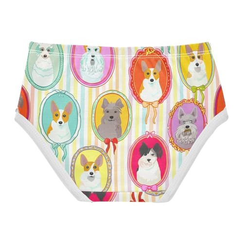 Dog Whimsical Puppy Ornate Toddler Underwear Floral 2t Cotton Cute Panties Girl Colorful Briefs Undies Kids2