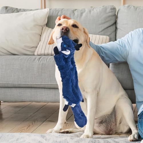Peluche pour chien d'entraînement et récompense pour l'éducation