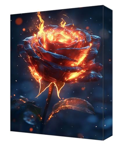 Peinture numéro adulte kit complet à offrir en cadeau de loisirs créatifs DIY 50x70cm