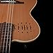 Godin MultiAc Nylon Encore – Natural Semi-Gloss (035045), Godin V1095 MultiAc Case Bundle
