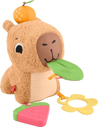 Fisher-Price - Marmotta Coccole E Merenda, Peluche Con Dettagli Sensoriali, Massaggiagengive E Sonaglino Inclusi Per L'Apprendimento Dei Neonati, Gioc