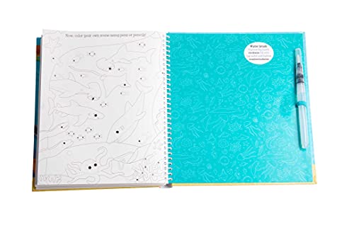 image for Magical Water Painting: Under the Sea: (Art Activity Book, Books for F