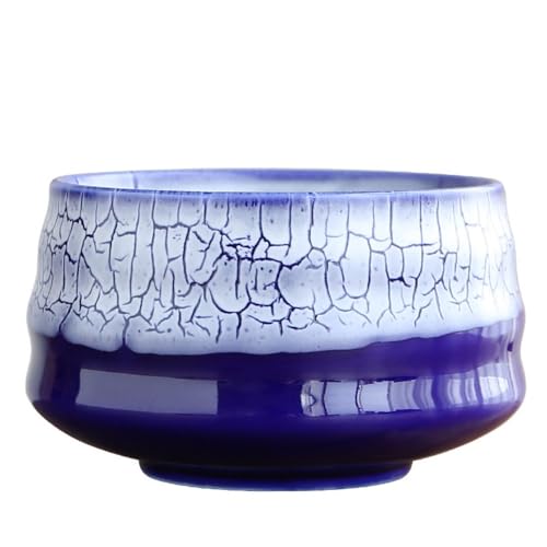 Riazdiw q ̒ 햕q   q pFq  (D)