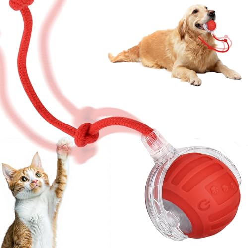 Interaktives Katzenspielzeug Ball Katzenspielzeug Elektrisch Ball Interaktives Spielzeug Katzenball Elektrisch mit Schwanz 360 Automatisch Rolling Smart Toy Ball Interactive Toys Für Katzen Hunde