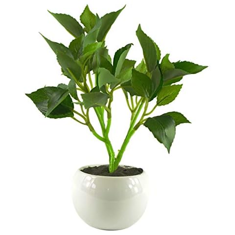 Leaf Árbol de bonsái Artificial de 20 cm en maceta de cerámica Cover