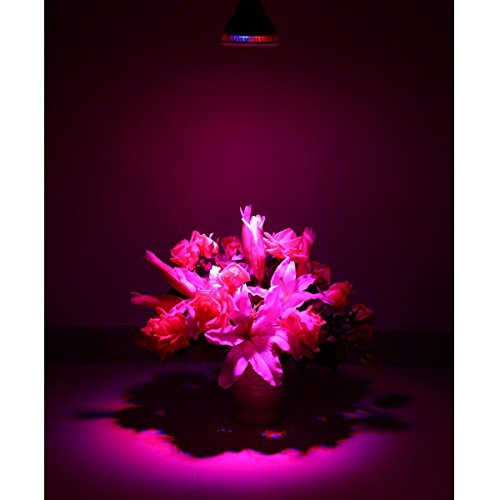 Superdream 36 Watt Advanced Spectrum Max Dual Band 3W-Chip Led Grow Bulb #TOP5