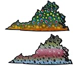 Virginia 6' Trout Fly Fishing 2-Bumper Sticker Set – Waterproof Vinyl Featuring Brook & Rainbow Trout – Ideal for Trucks, Boats, Coolers & Outdoor Gear – Made in USA