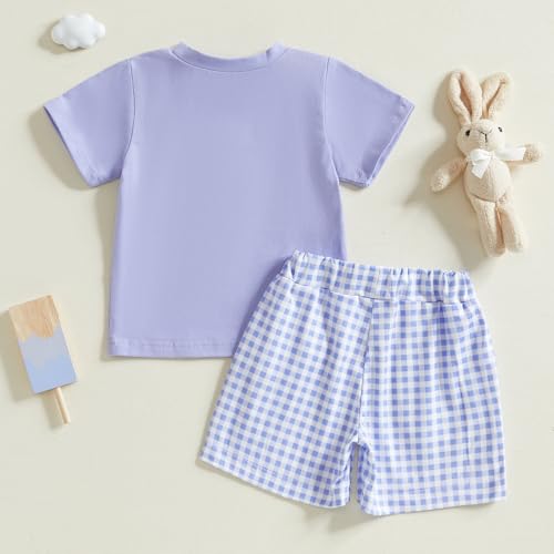 Image of Toddler Baby Boy Easter Rabbit Outfit Short Sleeve Bunny Carrot Smocked T-shirt Elastic Waist Shorts Summer Clothes