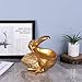 PlivBloom Pelican Key Holder Statues,Fun Animal Hippo Candy Dish,Candy Dish for Office Desk Unique,Modern Key Holder for Pelican Figurine,Suitability Desk and Entry Table Decor Items (All Gold)