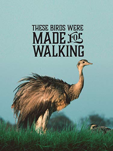 These Birds Are Made For Walking