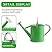 yourjoy Metal Watering Can, One Gallon Watering Cans Stainless Steel for Outdoor Indoor Garden Plants Watering (Stainless Steel Handle Green)