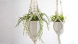 Make a Classic Macrame Plant Hanger