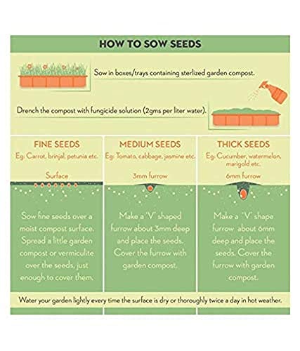 Image of Aero Seeds Lady Finger (30 Seeds) And Bottle Gourd Long (30 Seeds) Vegetable Seeds Pack