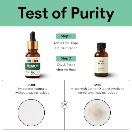 Image of Organix Mantra Eucalyptus Essential Oil for Skin, Hair, Sinus & DIY- 100% Natural & Steam Distilled Oil - 10ML