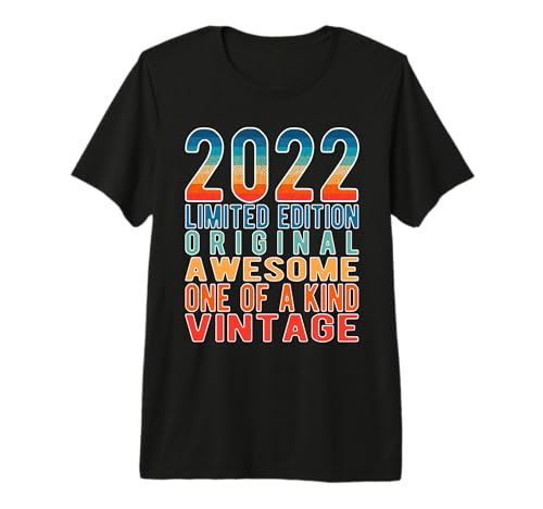Limited Edition Awesome Original Vintage 2022 Retro Birthday Premium T-Shirt