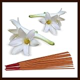 Tuberose Incense Sticks Pure Scented Prayer Agarbatti Premium Quality Fragrance Sticks (250 Grams)