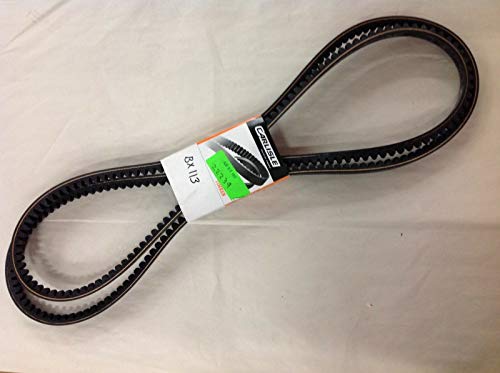 Carlisle BX113 Gold Ribbon Cog-Belt