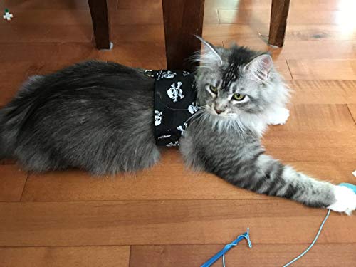 Mynwood - Giacca/imbracatura per gatti con teschi