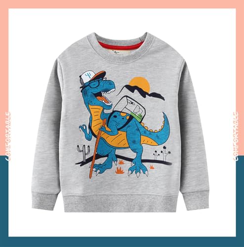 Boys Sweatshirts Casual Sweatshirts Cotton Sweatshirts Long Sleeve T-shirts Crew Neck Cartoon Tops for Boys-7573