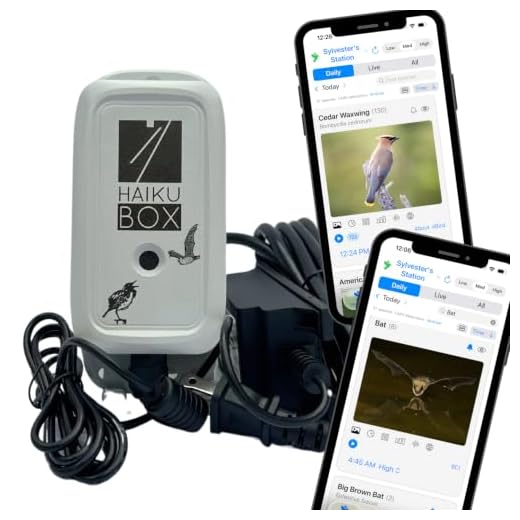 Haikubox AI Bird and Bat Identifier