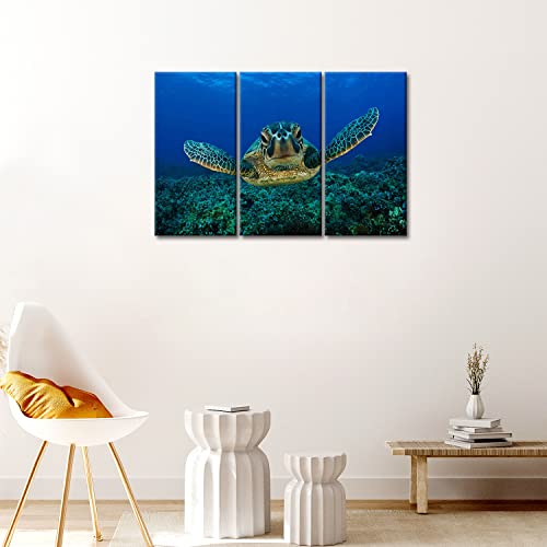 So Crazy Art- Sea Turtle Wall Art Decor Turtle Animal Swimming In The Blue Ocean Canvas Pictures Artwork 3 Panel Marine Life Painting Prints For Bathroom Living Dining Room Kitchen #TOP3