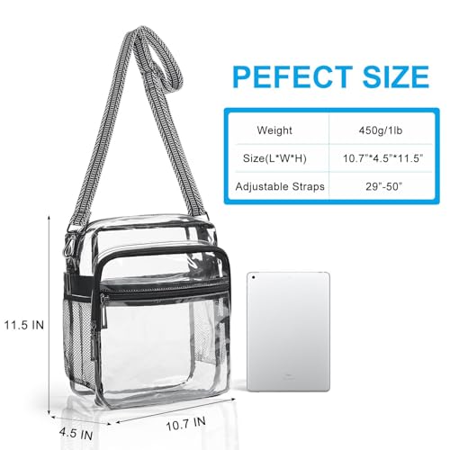 Bolso Transparente LATMAP para Eventos 12x6x12 miniatura 3