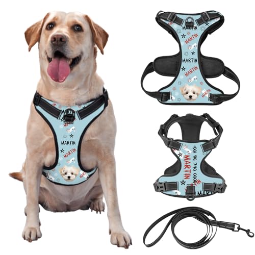 Pettorina per Cani con Immagine Personalizzata dell'Animale Domestico, Guinzaglio per Animali Domestici con Nome, Adatta per l'Addestramento e le Passeggiate, con Guinzaglio Opzionale