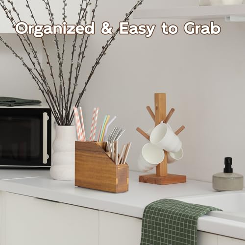 BWODYAY Straw Holder, Acacia Wood Straws Organizer, Cupboard Reusable Straws Dispenser for Kitchen Counter
