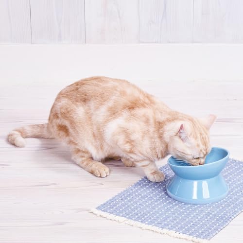 アドメイト (ADD. MATE) 犬猫用食器 手前が低くて食べやすい脚付き食器 M