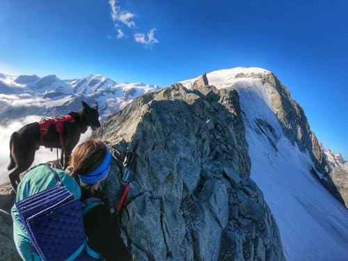 Aufbruch ins Freie: Meine wilden Bergabenteuer zu Fuß, mit Rad, Ski – und Hund