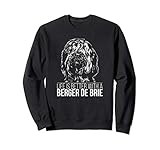 Wilsigns Berger de Brie Briard Designs