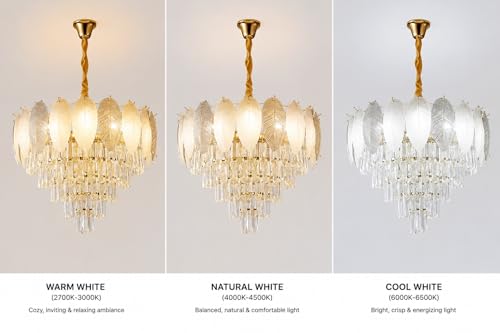 Image of DREAMY DESIGNS Feather Chandelier for Living Room | Modern Hanging Ceiling Light for Hall, Dining Room, Bedroom, Hotel & Restaurant Decor | Elegant Feather Pendant Light (Silver, Black)
