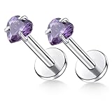 TOMIDES G23 Titanium Lip Rook Labret Studs Helix Tragus Earring Set 16G Threadless CZ Nose Stud Hypoallergenic Conch Lobe Cartilage Push Back Monroe Piercing Jewelry (1 pair Heart purple)