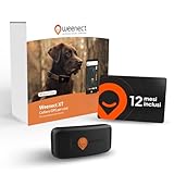 Pack Weenect XT | Localizzatore GPS per cane – Senza collare | 1 anno di abbonamento incluso | Impermeabile | Antenna XL | Portata illimitata