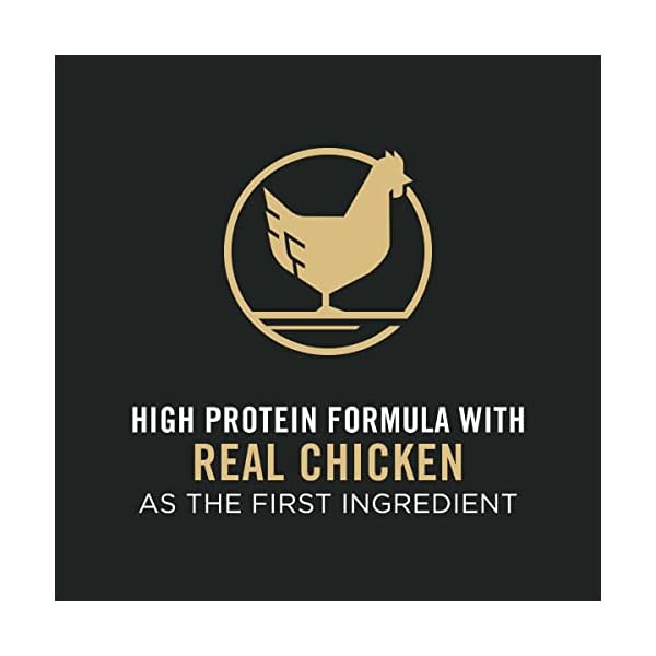 Purina Pro Plan Focus Small Breed Formula Adult Dry Dog Food – 6 Lb. Bag Purina Pro Plan Focus Small Breed Formula Adult Dry Dog Food – 6 Lb. Bag