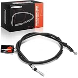 【Einbauposition】Hinten Links Oder Rechts