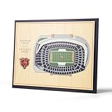 YouTheFan NFL 5-Layer 17 x 13 StadiumViews 3D Wall Art, Chicago Bears