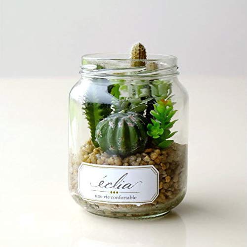 サボテン ガラス 観葉植物の人気商品 通販 価格比較 価格 Com