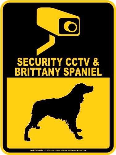 [MAGSIGN] �u���^�j�[�X�p�j�G���x����/�h�ƃJ�����Ď��� �p�� SECURITY CCTV�� BRITTANY SPANIEL �Z�L�����e�B�[�X�e�b�J�[/�o���p�[�X�e�b�J�[ �C�G���[(���F) ���{�� S�T�C�Y