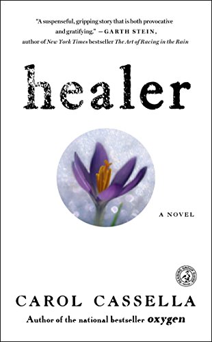 Healer: A Novel