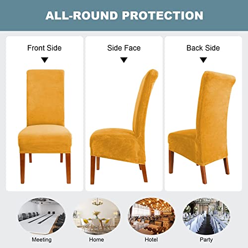 Qiden Velvet Dining Chair Covers, Stretch Large Chair Slipcover, High Back Chairs Cover Xl Chair Protector-Gold-Pack Of 6 #TOP4